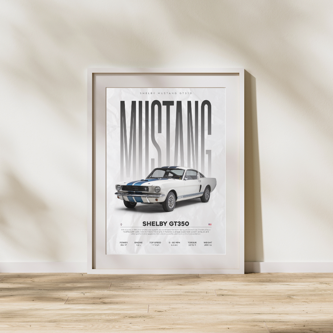 cadeau passionné voiture